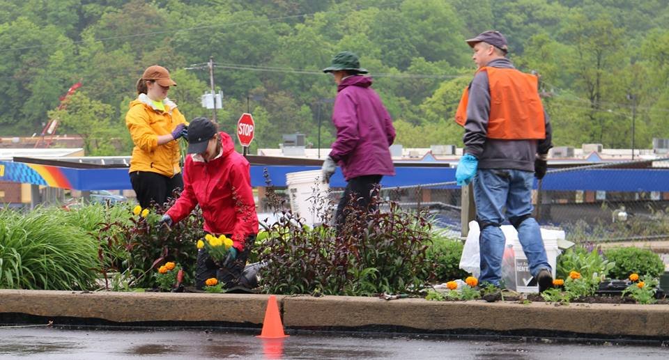 Volunteers plant the Ronald Street island, 21 May 2016
